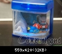 Images suivantes