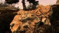 MOD Skyrim Special Edition : Des rochers qui passent  la 4K, voire  la 8K