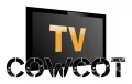 [Cowcot TV] CeBIT 2013 : Le stand Zalman 
