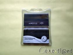 Test Dissipateur M�moire Arctic Cooling RC