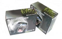 Test alimentation Silver Power 500 watts