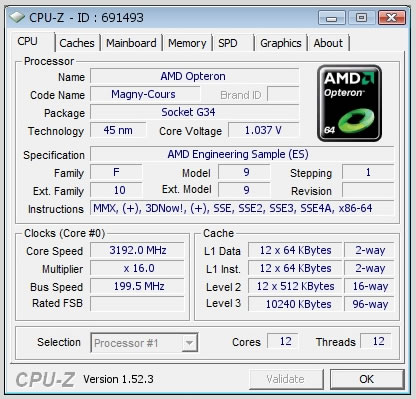 AMD 6 Cores 