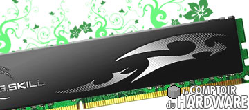 Test mmoire G.Skill DDR3-1600 MHz ECO