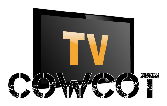 cowcot tv cebit 2013 stand zalman