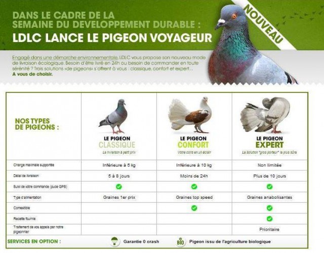 ldlc-livraison-pigeon-voyageur