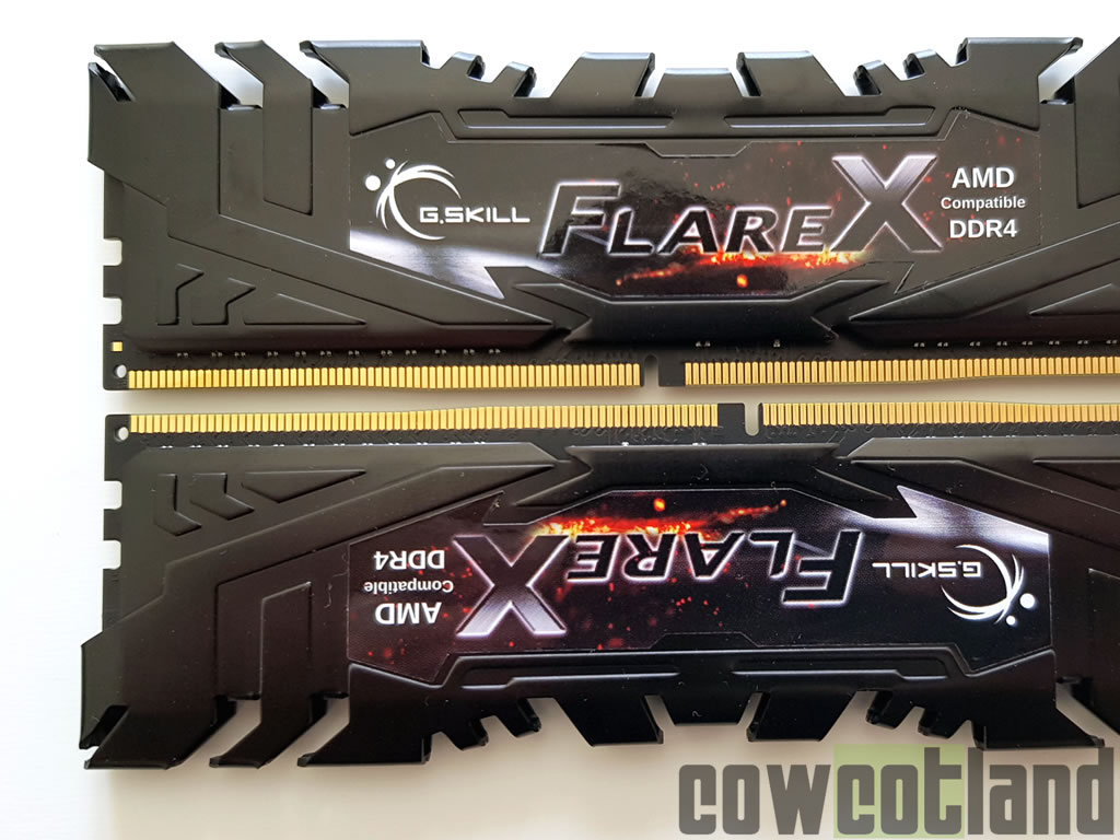 Image 35875, galerie Mmoire DDR4 G.Skill Flare X 3200 Mhz CL14