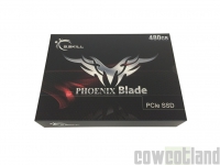 Cliquez pour agrandir Test SSD G.Skill Phoenix Blade 480 Go