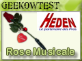 La rose du Geek, pour la Saint Valentin