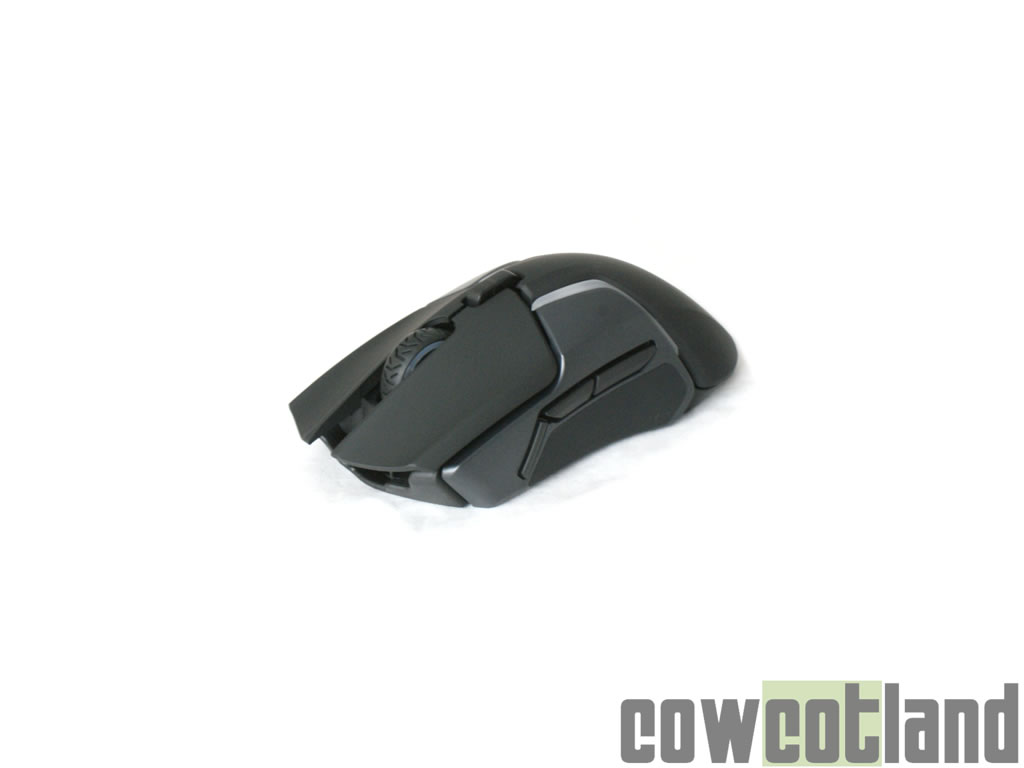 Image 36105, galerie Souris SteelSeries Rival 600