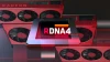 Les puces AMD NAVI 44 et NAVI 48 se montrent dans ROCm