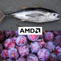 Bonite  la prune, tel est le nom de code des GPU AMD NAVI 31