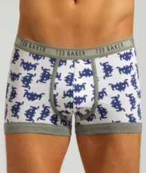 Le Boxer du Geek