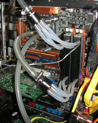 Madshrimps met de l'eau dans la DDR3