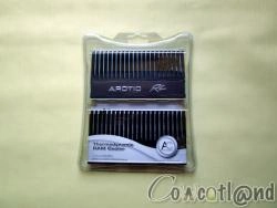 [CowcotMinute] Test Dissipateur M�moire Arctic Cooling RC
