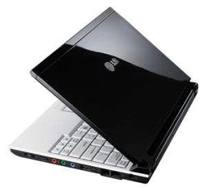 LG X100, mi figue, mi raisin