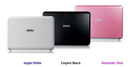Le MSI Wind U100 chez Revioo