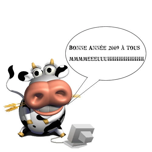 Une tr�s bonne ann�e 2009 � tous