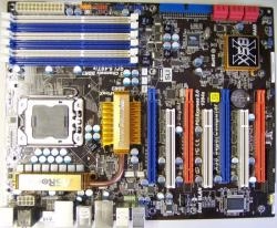 Les Crevettes se l�chent sur le X58