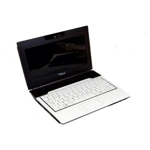 Un netbook 9 pouces N270, 1024 Mo, 60 Go pour 199 Euros