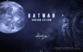 La PhysX et Batman Arkham Asylum ça donne quoi ?