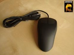 Test d'une souris qu'elle est faite pour Koh-Lanta