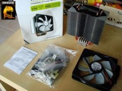 RexWare se la coule douce