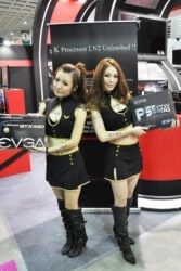 Des babes ! Oui mais des babes EVGA !