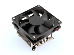 Le Prolimatech Sammy a-t-il peur du Scythe Big Shuriken ?