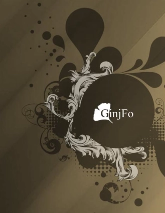 Ginjfo fait peau neuve !