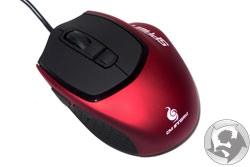 D�j� un test de la souris CM Storm Spawn