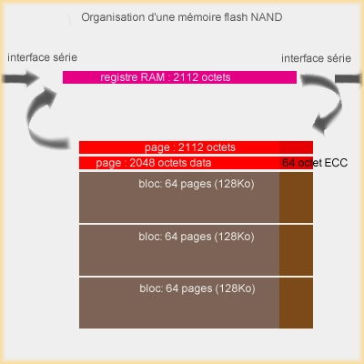 THFR met � jour son dossier sur le SSD