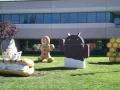 Android 4.0 : des images
