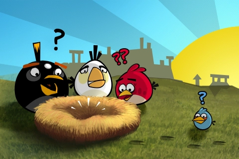 Un Futur Angry Birds !