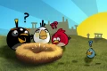 Un Futur Angry Birds !