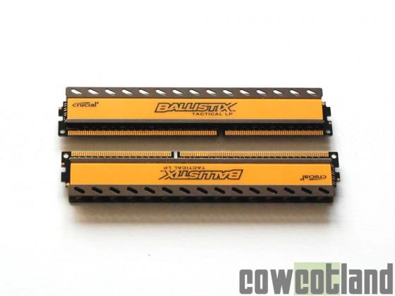  Kit m�moire Crucial Ballistix LP 2 x 8Go 1600MHz