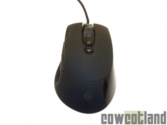  Test Souris CM Storm Havoc