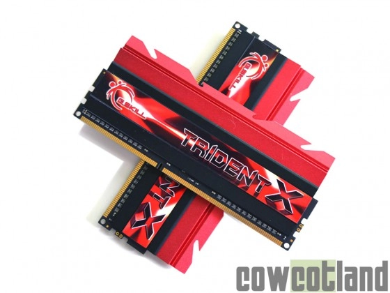  M�moire G.Skill Trident X 2933 C12 : un test de l'Extr�me