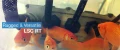 Le PC LSC RT de LiquideCool Solutions nage avec les poissons rouges