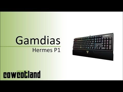  Pr�sentation du clavier Gamdias Hermes P1