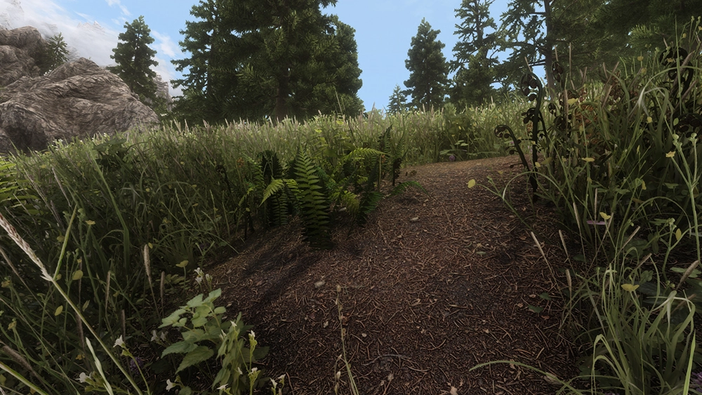 Un impressionnant mod pour des textures sol en 4K pour Skyrim Special Edition