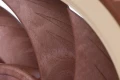[Maj] Après quatre ans de développement, Noctua s'apprête à sortir ses nouveaux ventilateurs en série A