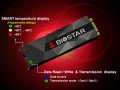 Biostar dévoile la série M500 de SSD, du M.2 NVMe avec des diodes utiles (guillemets avec les doigts)