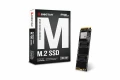 Nouveaux SSD chez Biostar avec la série M700