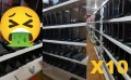 Des centaines de laptops en RTX 3060 dans des étagères pour créer de la cryptomonnaie, smiley vomito
