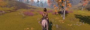 Bon Plan : Pine est gratuit sur l'Epic Games Store