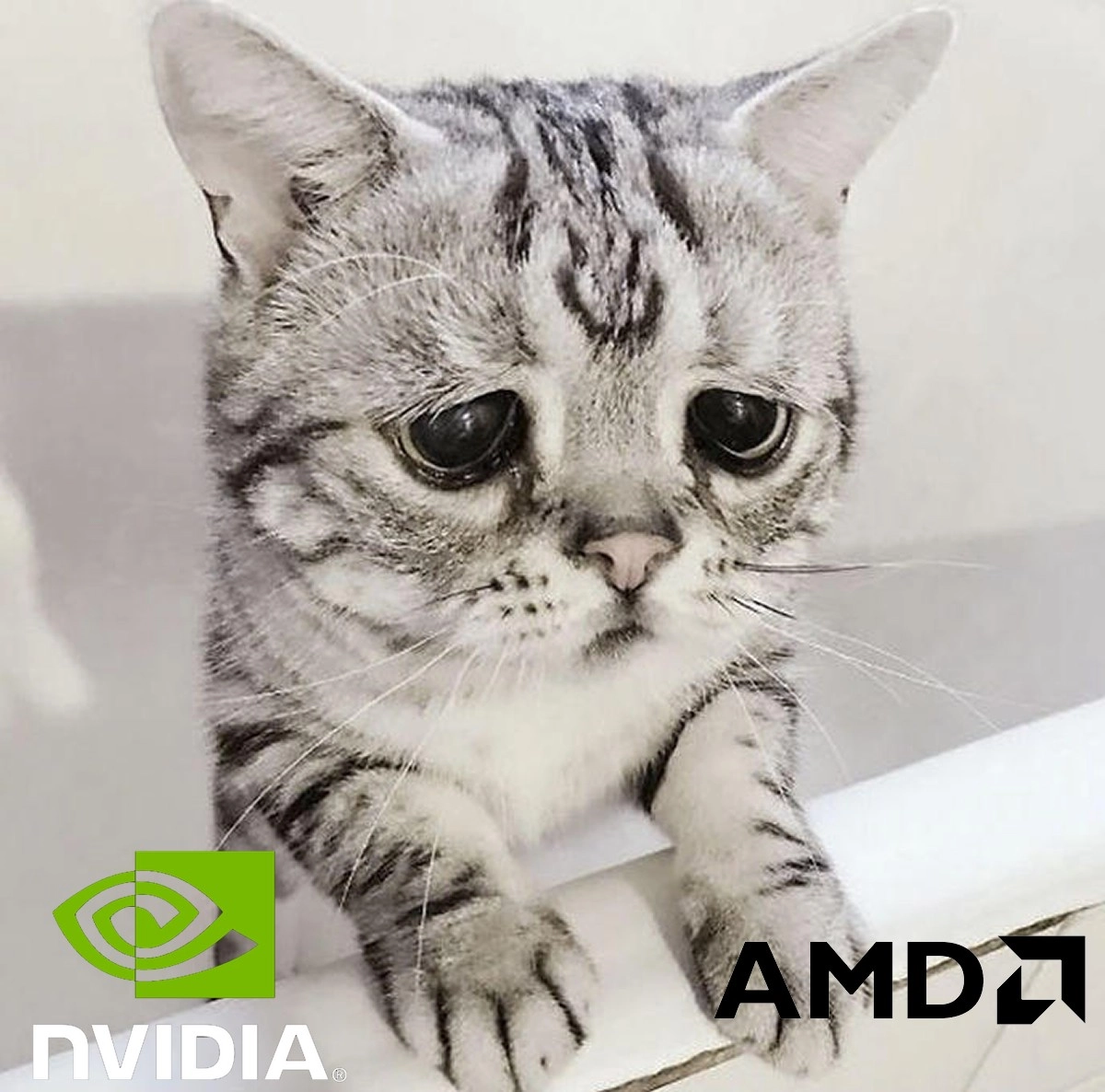 En ce lundi, c'est mis�re de GPU, 639 euros minimum pour une carte gamer et encore juste une RTX 3060 Ti