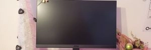 Test �cran MSI Optix G241, du FHD rapide et abordable ?