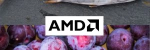 Bonite � la prune, tel est le nom de code des GPU AMD NAVI 31