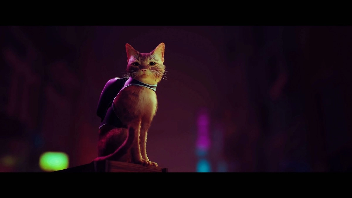 Exclusivit� Sony, Stray arrivera aussi sur PC le 19 juillet prochain