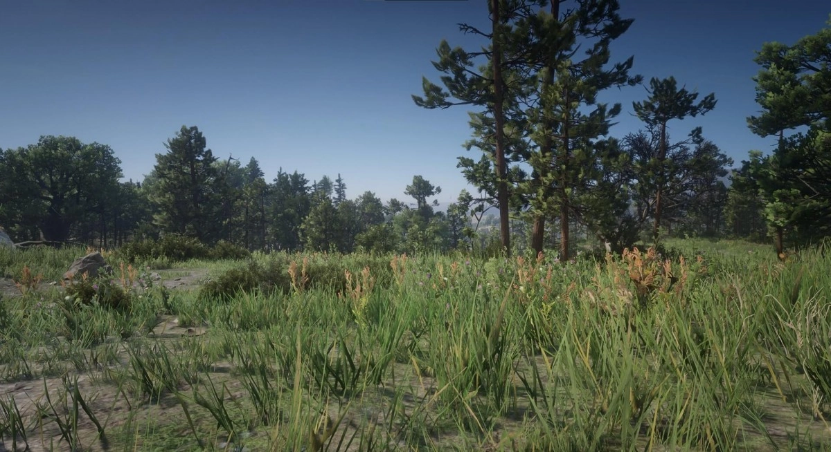 Un mod Texture HD pour la v�g�tation de Red Dead Redemption 2